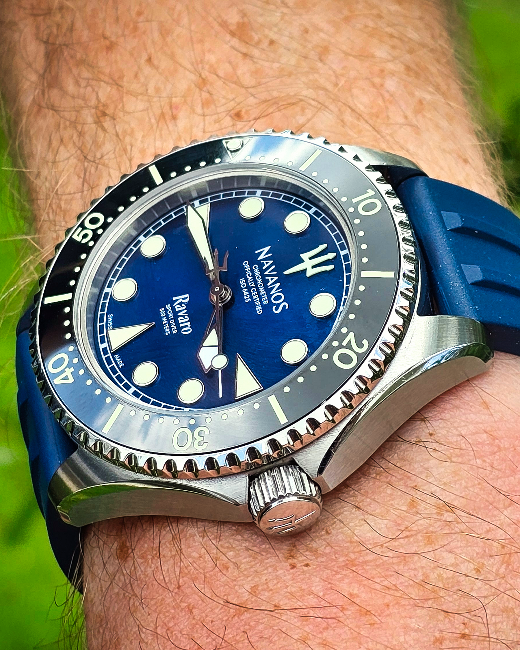 Nautical blue wristwatch with silver case on a person's wrist against a blurred natural background.